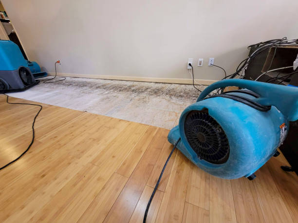 Professional Water Damage Repair technician working in Baxter, MN